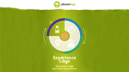 Planète Liège - Site Web